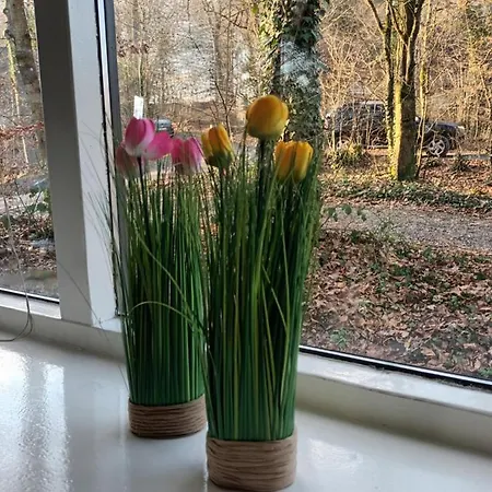 Huisje Weltevree, Rust En Gezelligheid In